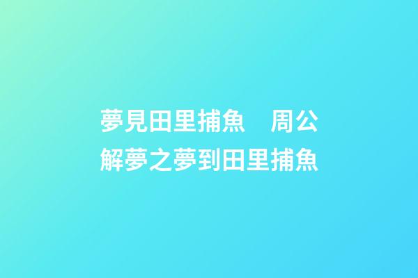 夢見田里捕魚　周公解夢之夢到田里捕魚